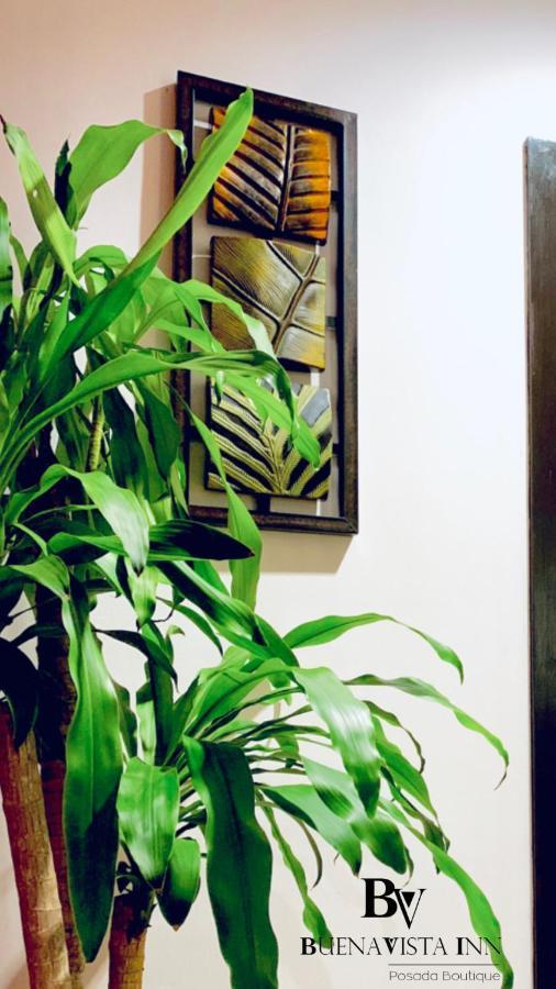 Buenavista Inn Maiquetía Exteriér fotografie